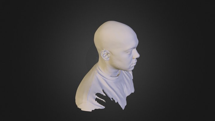 Greg Head Scan 3D Model