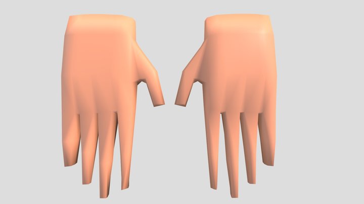 rigged hands 3D Model