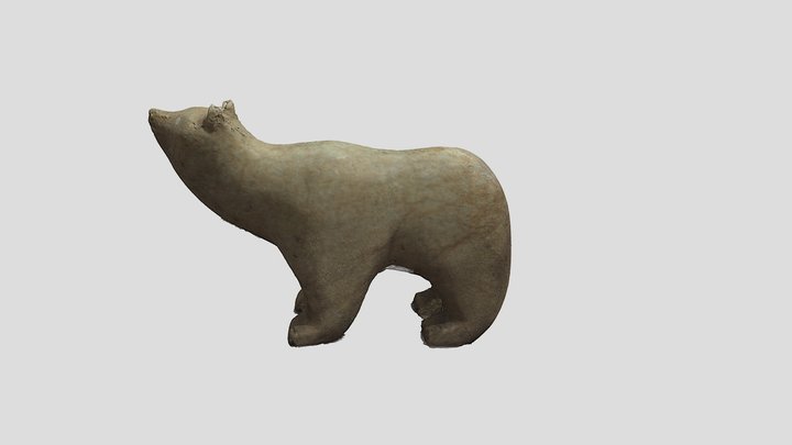 Polar Bear- 3D Scan 3D Model