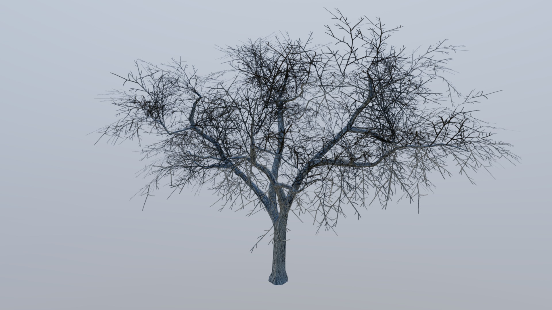 3D model Low Poly – Tree (Winter) - This is a 3D model of the Low Poly - Tree (Winter). The 3D model is about a tree with no leaves.