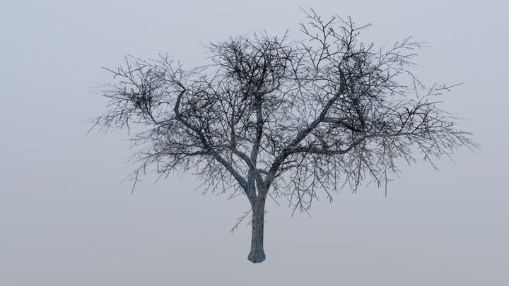Low Poly - Tree (Winter) 3D Model