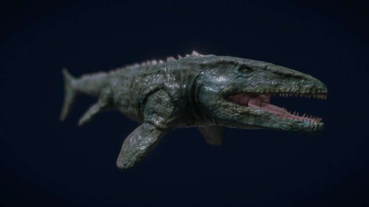 Mosasaurus 3D Model
