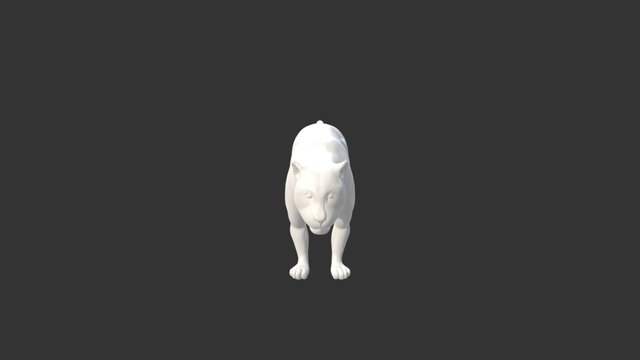 Panther Week 1 3D Model