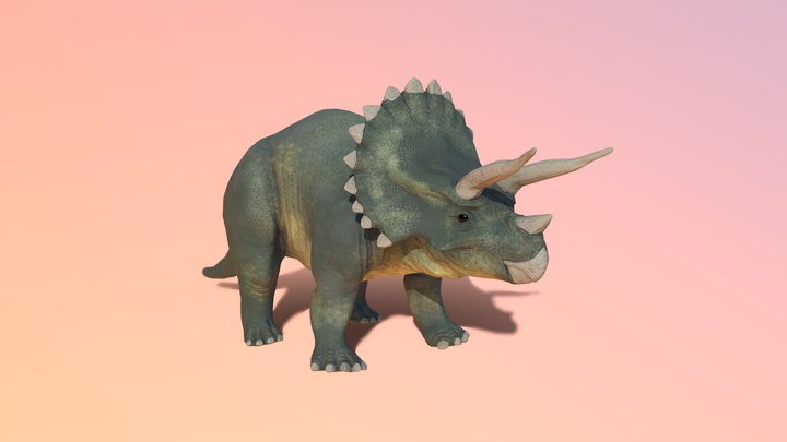 Tricerotops 3D Model
