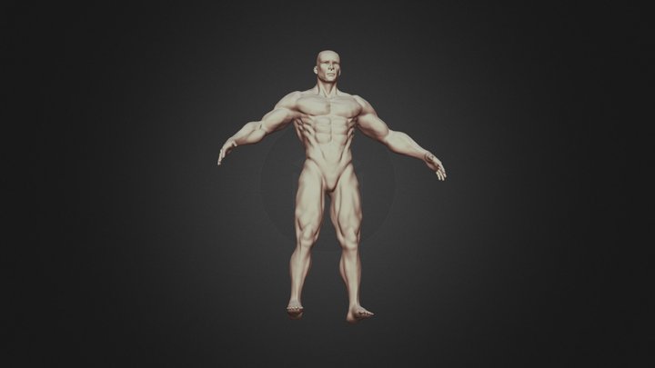 Skin man 3D Model