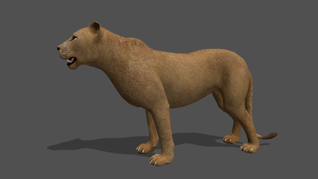 Animated Lioness – 3D Animal Model