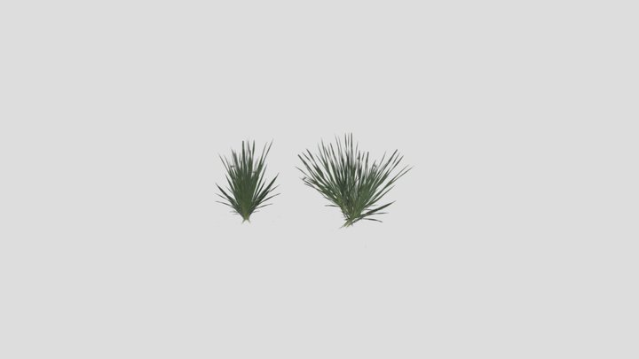Grasses02 3D Model