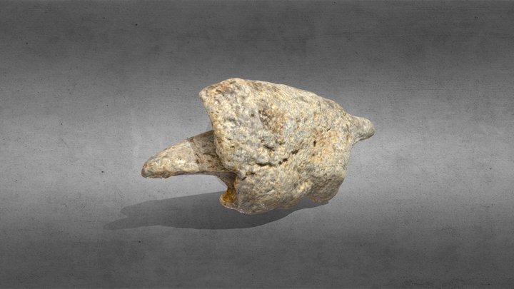 Garra de la mano de un perezoso gigante. 3D Model
