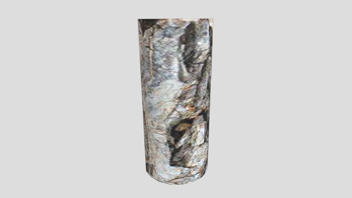 Terrible Log (with texture) 3D Model