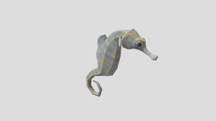 Seahorse 3D Model