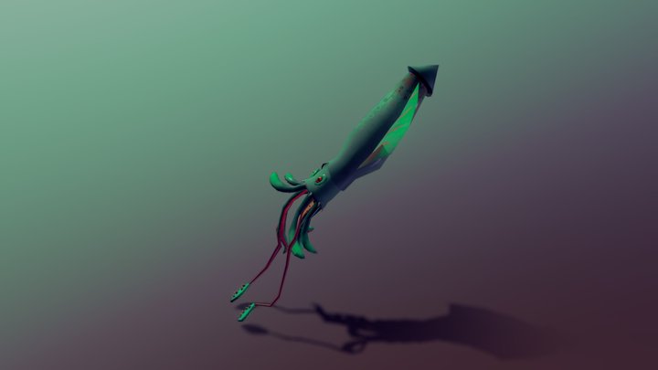 Squid SC Fauvelle 3D Model