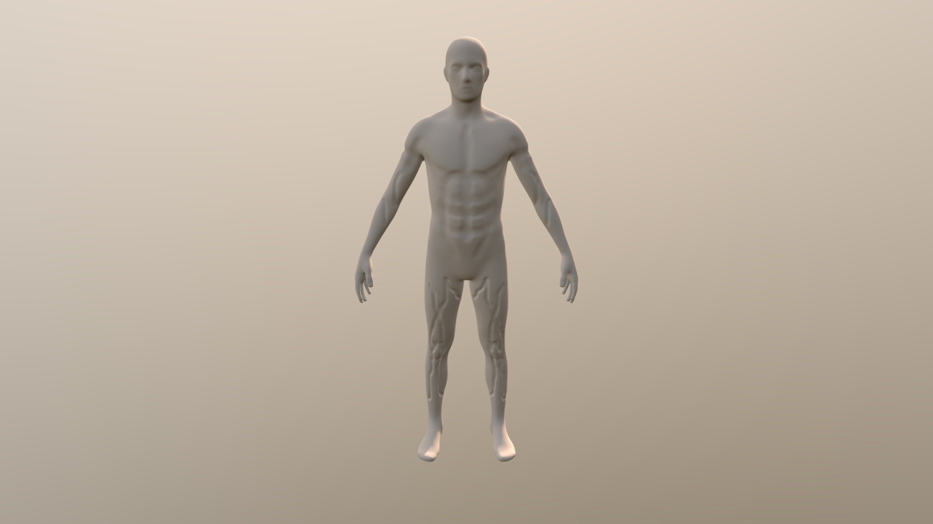 Musculos - 3D model by Renatozim12 [db5b8d1] - Sketchfab