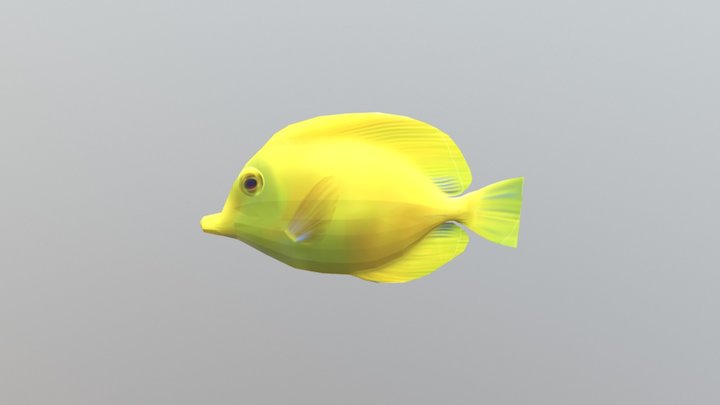 Fish 3D Model