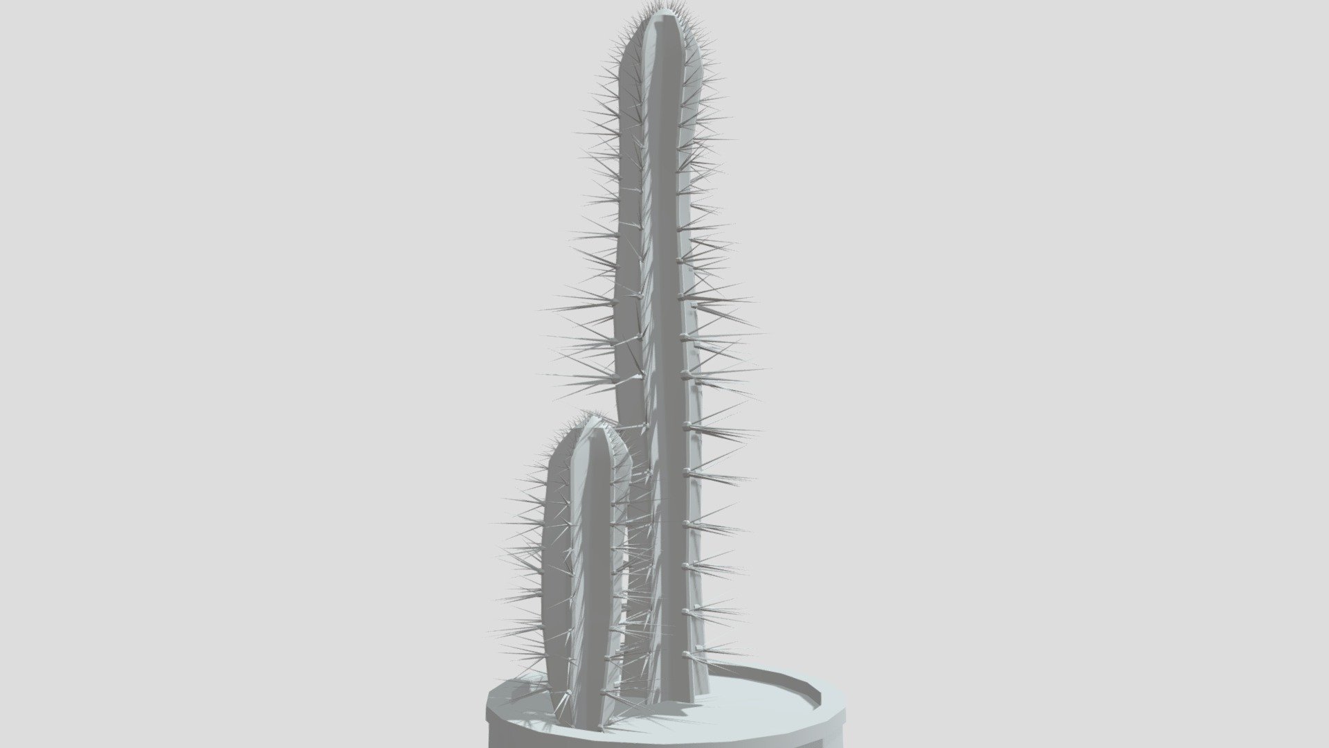 Cactus