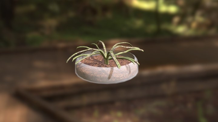 plantassn 3D Model