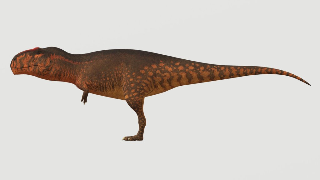 Accurate Giganotosaurus