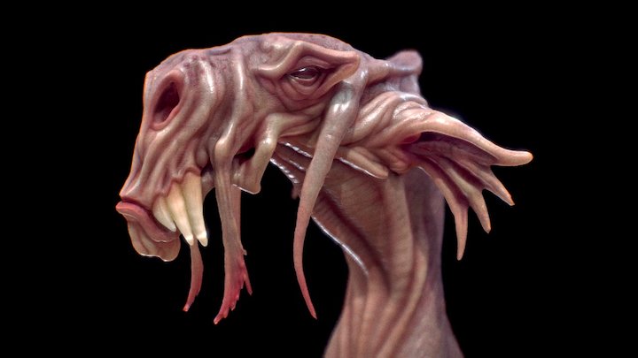 Average Dug 3D Model