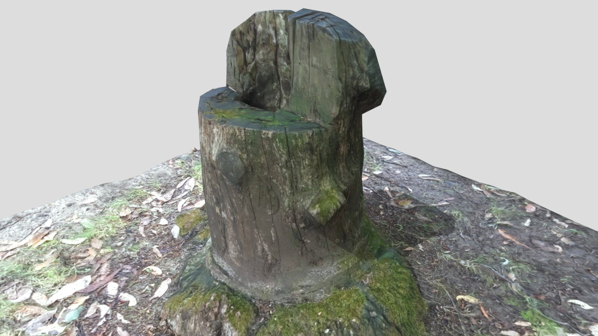 Tree Stump Carved Chair