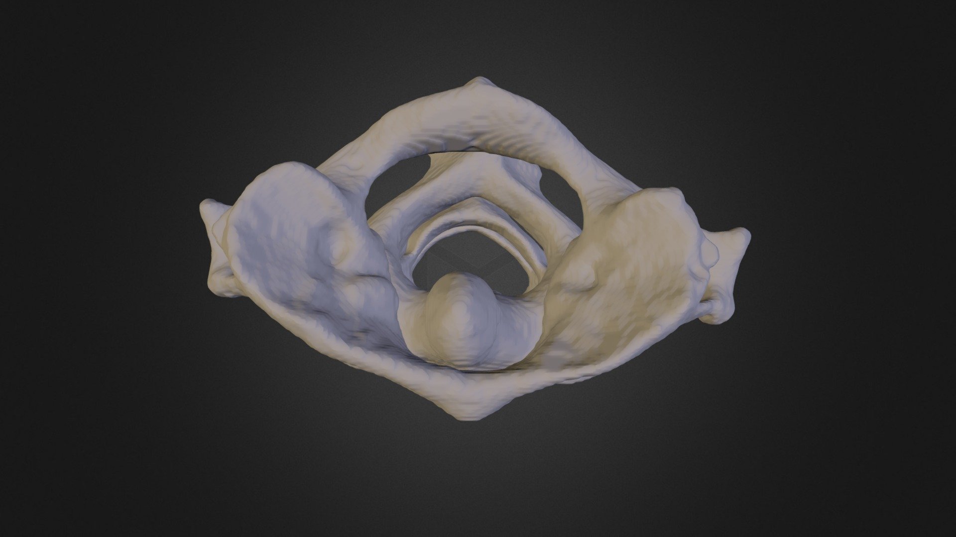 Columna cervical alta