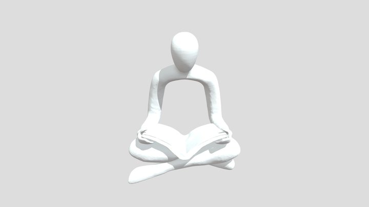 Silent Reader 3D Model