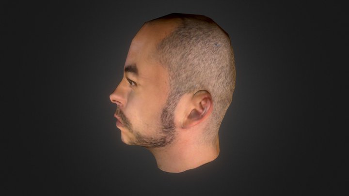 Avatar #1 3D Model