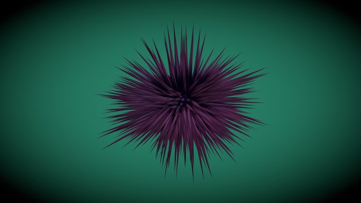 Urchin 3D Model