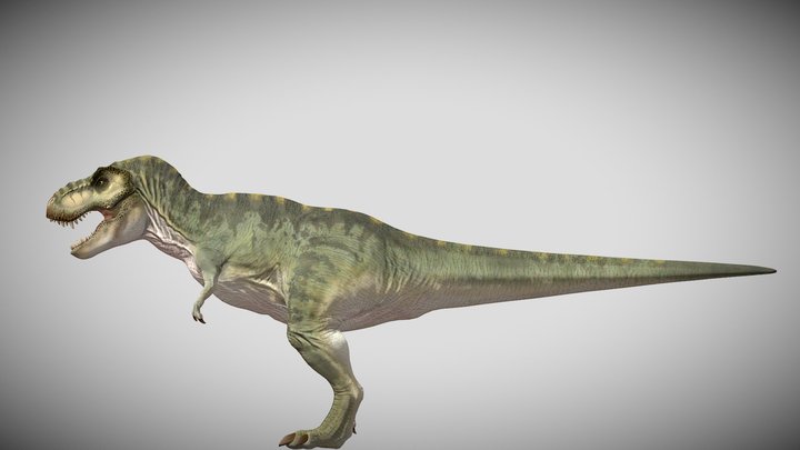 JWE3 Bull Tyrannosaurus Rex – Kostenloses 3D-Modell STL