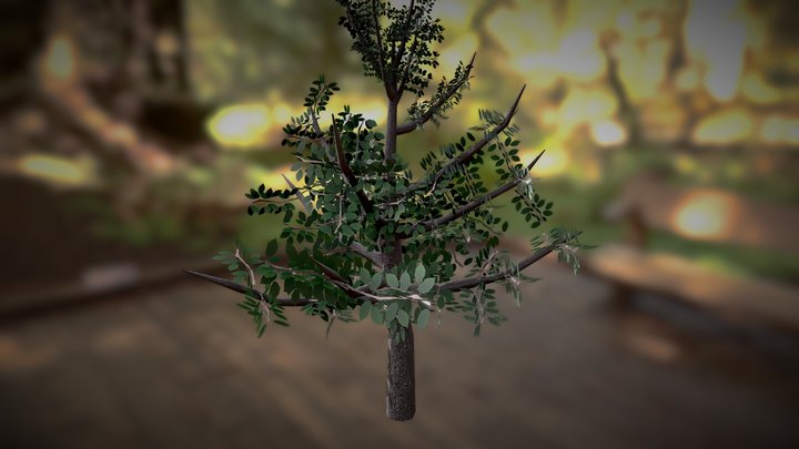 Low Poly Tree (2.2k Verts) 3D Model