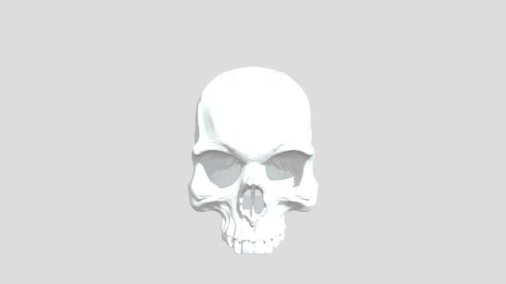 Skull Head 3D Model