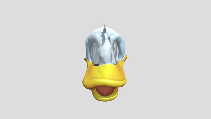 4.0 Disembodied 3D Model
