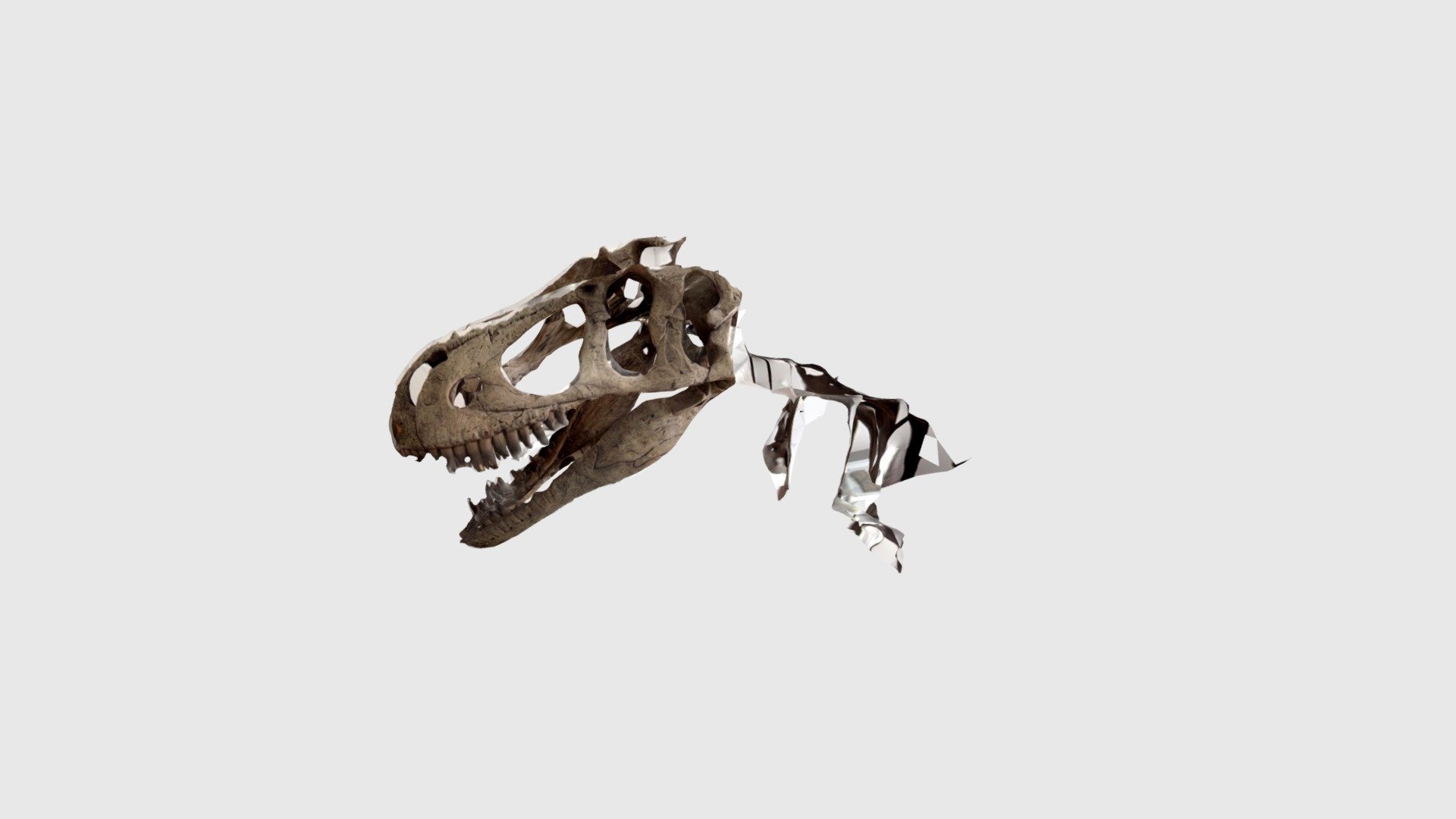 Tarbozaurus