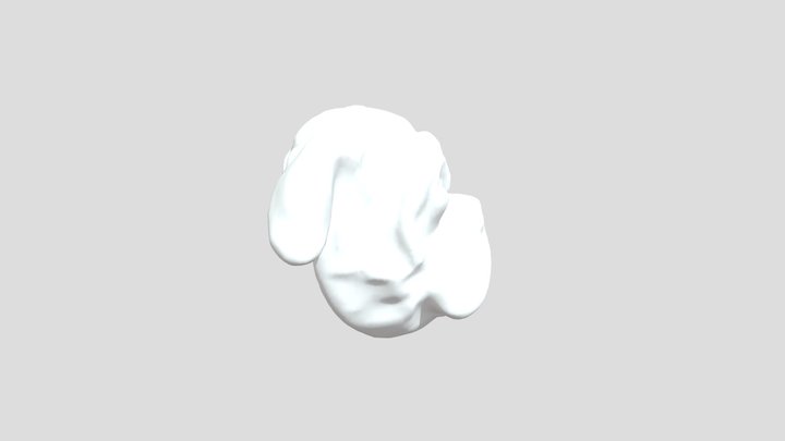 Exquisite Pug Face/Mask Model 3D Model