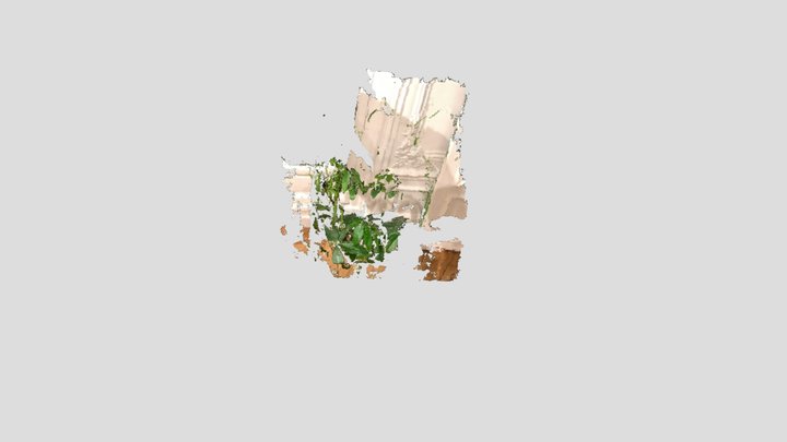 Plant bureau 3D Model