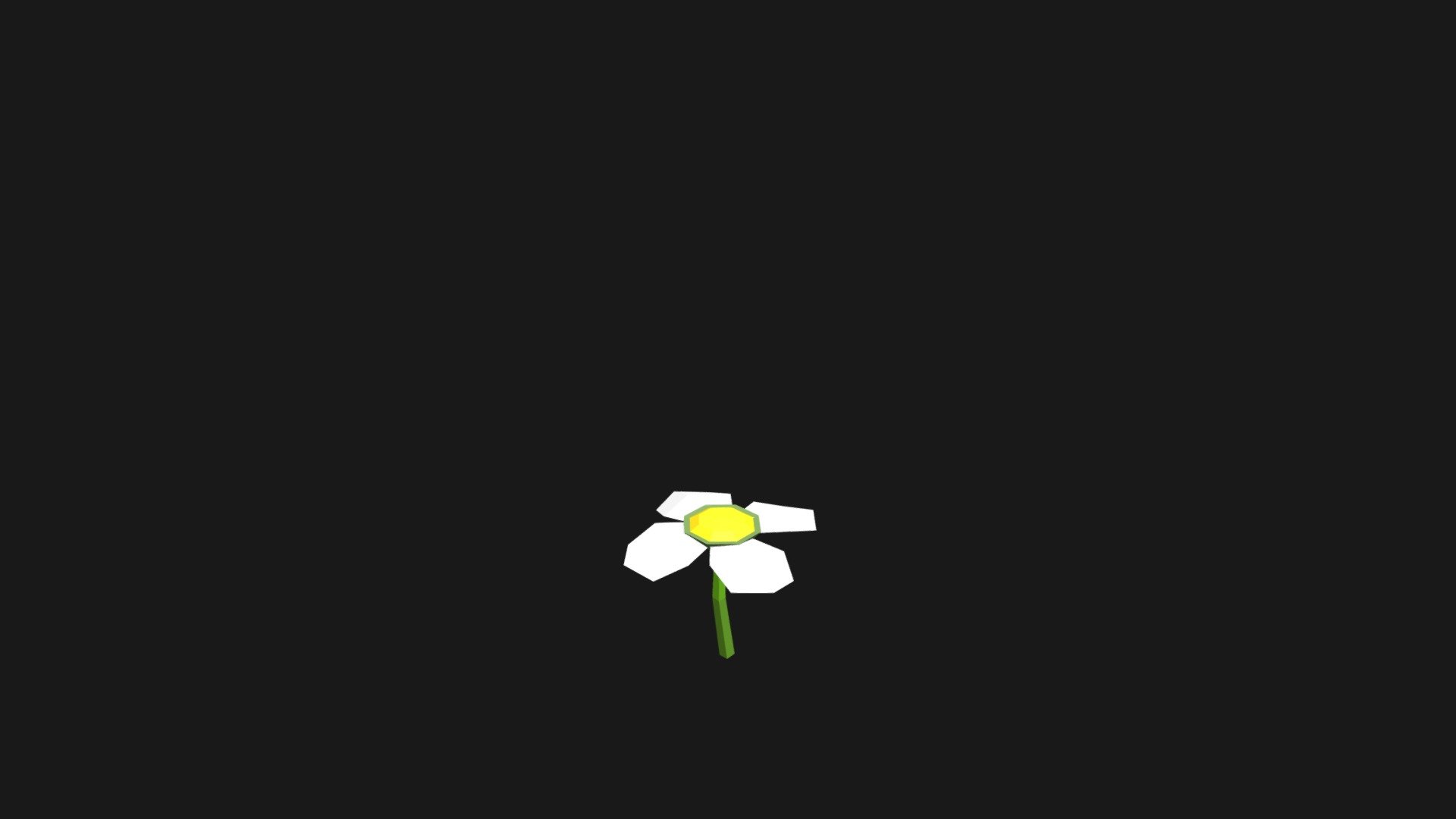 Flower White