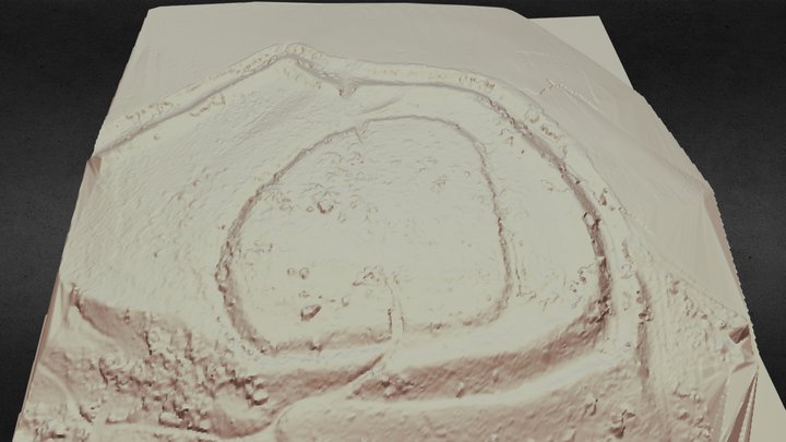 Habitat fortifié du Castet Crab é à Lagarde (65). 3D Model