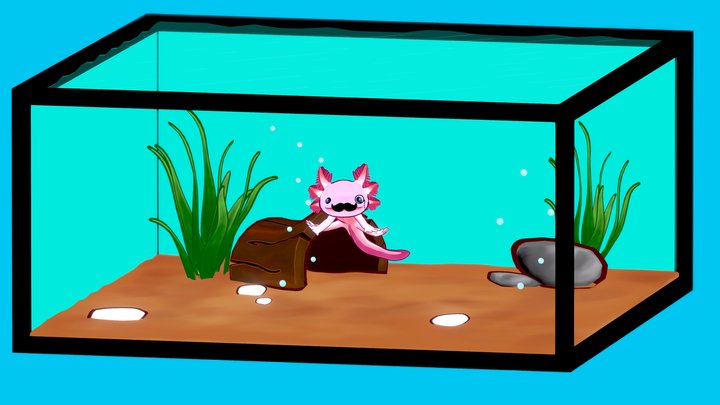 Axolotl in aquarium 3D Model