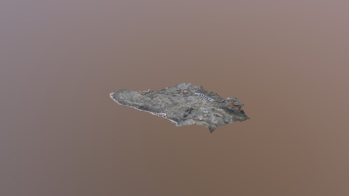 Utahraptor Block 1 10 19 east side 3D Model