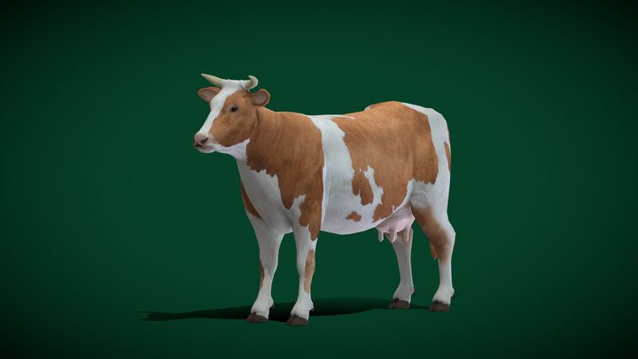 Diary Cattle  (Lowpoly) 3D Model