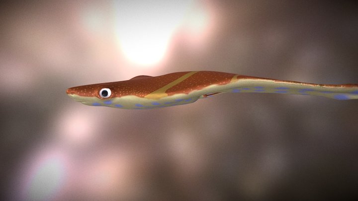 Lemon Ray 3D Model