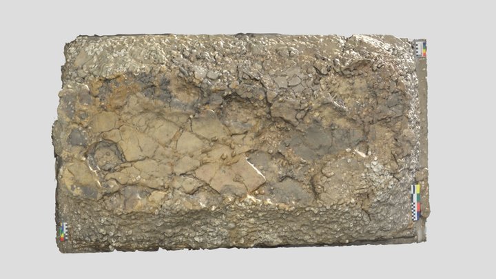 Carniça I - Estrutura Funerária (março 2023) 3D Model