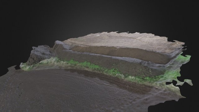 Burm Simplified 3d Mesh 3D Model