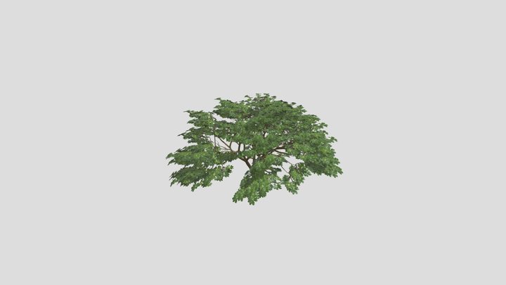 Realistic Bush