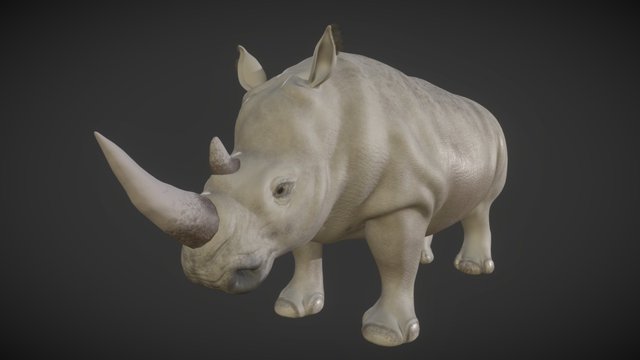 Rhino 3D Model