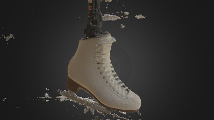 Ice Skate, Right, Untreated 3D Model