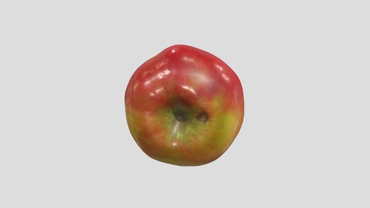 Apple 3D Scan 3D Model