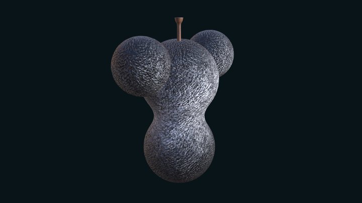 Panda Pear 3D Model