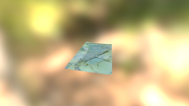 Field 3D Model