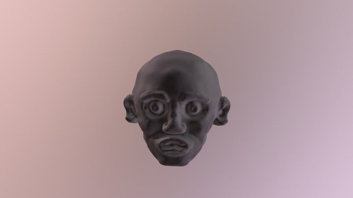 CABEÇA 3D Model