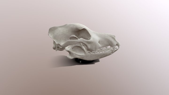 Gutou 3D Model