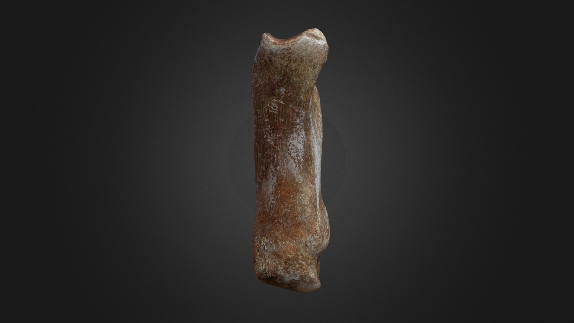 3D model Woolly Rhino Metacarpal 2nd - This is a 3D model of the Woolly Rhino Metacarpal 2nd. The 3D model is about a close-up of a bone.